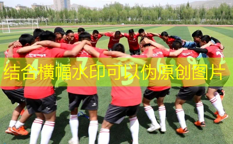 碳素一体网球拍龙迪曼