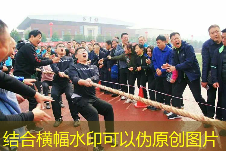 爱游戏ayx总部：网球拍白色和黑色哪个好