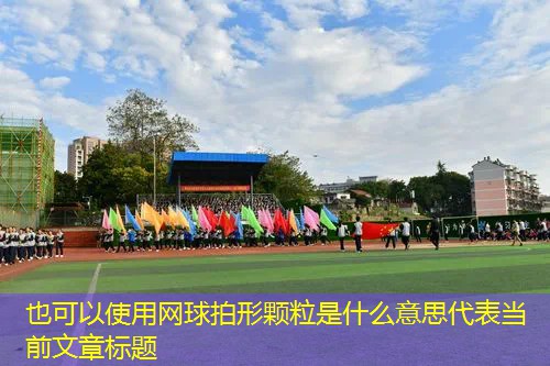 网球拍形颗粒是什么意思