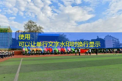 网球拍为什么都没货了