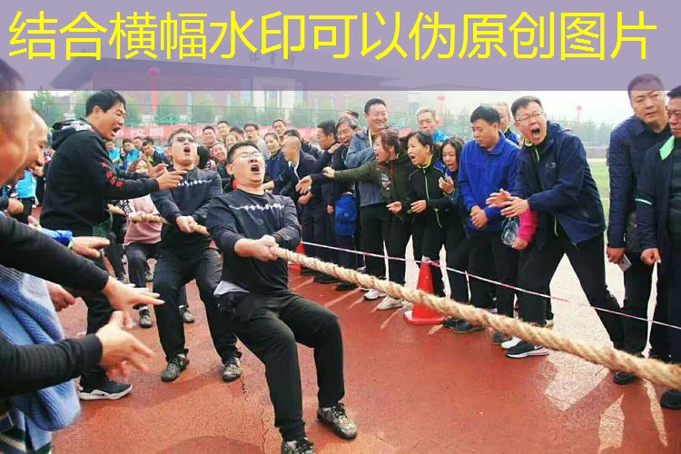 爱游戏ayx官方网站入口：网球拍线断了自己可以修吗_