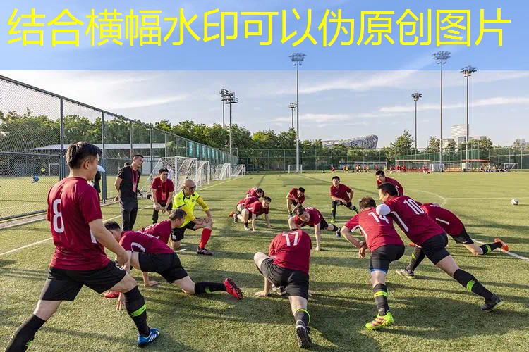爱游戏ayx官方全站：最大网球拍尺寸规格表