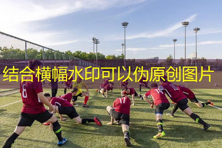 爱游戏中国官方网站：高级潮的网球拍叫什么