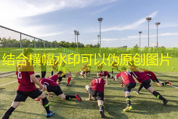 爱游戏ayx总部：网球拍线的磅数怎么选