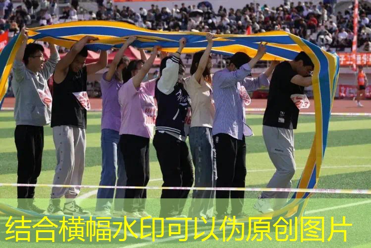 爱游戏ayx官方网站入口：威尔逊网球拍多少美元
