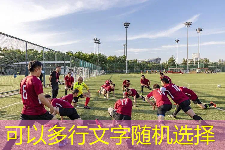 海德网球拍明星同款有哪些 海德网球拍明星同款有哪些