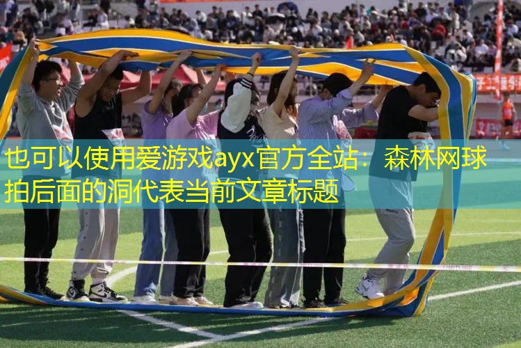 森林网球拍后面的洞 森林网球拍后面的洞