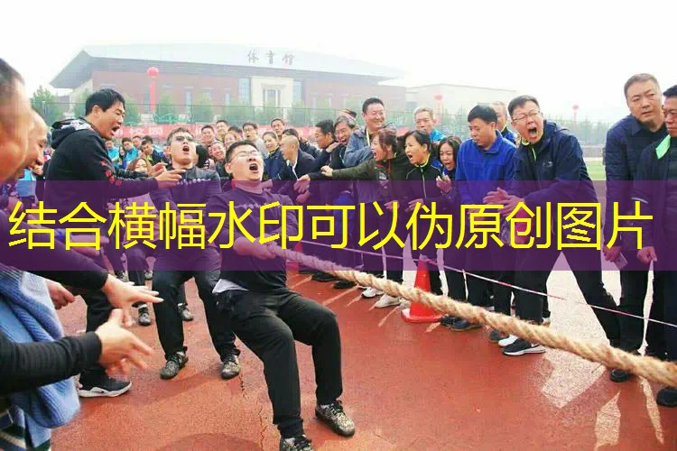 网球拍拍柄里空的 网球拍拍柄里空的