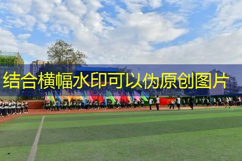 室内健身器材售后问题点 室内健身器材售后问题点